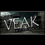 Artwork voor "My Fucking Ragga"