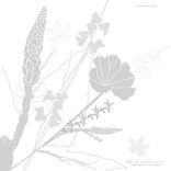 Artwork für "Clara Ghavami (Extended Mix)"