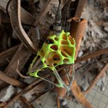 Artwork for "Quantum Flux"