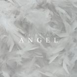 Portada para "Angel"