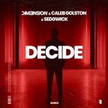 Artwork voor "Decide"