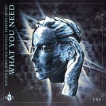 Artwork for "What You Need"