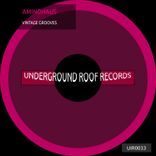 Artwork für "Vintage Grooves"