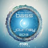 Artwork for "Bass Journey 2013"
