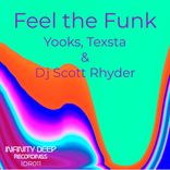 Artwork voor "Feel The Funk"