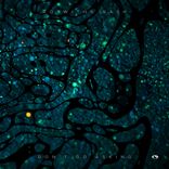 Portada para "Don't Go Asking"