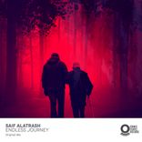 Artwork for "Endless Journey"