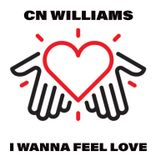 Artwork voor "I Wanna Feel Love"