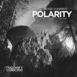 Artwork for "Polarity"