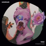 Artwork for "Vitaminized"