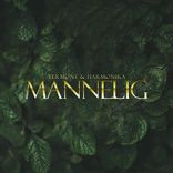 Artwork for "Mannelig"