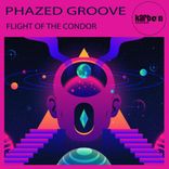 Flight Of The Condor