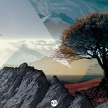 Artwork voor "Into the Trees"