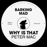 Artwork voor "Why Is That"