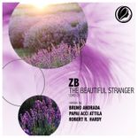 The Beautiful Stranger (Robert R. Hardy Radio Edit)