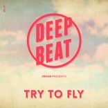 Artwork for "Try To Fly"