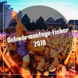 Artwork for "Schwörmontags-Fieber 2018"