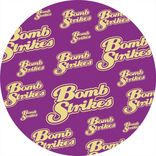 Portada para "Terrorist"