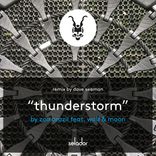 Portada para "Thunderstorm"