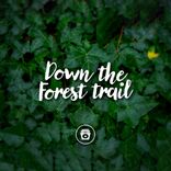 Portada para "Down The Forest Trail"