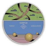 Portada para "Perfect"