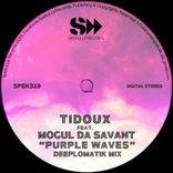 Portada para "Purple Waves (Deeplomatik Mix)"