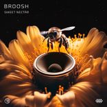 Elephant in the Room