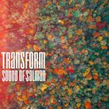 Artwork for "Transform"