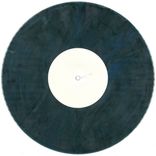 Artwork voor "Swamp Tracks"