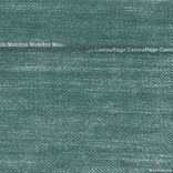 Artwork for "Camouflage"