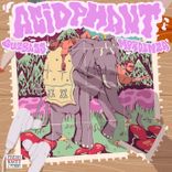 Artwork voor "Acidphant"