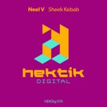 Artwork for "Sheek Kebab"
