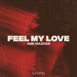 Artwork for "Feel My Love"