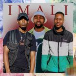 Artwork voor "Imali"