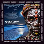 Artwork for "Zimbaue Sky"