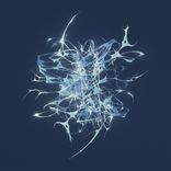 The Dance of the 7th Veil