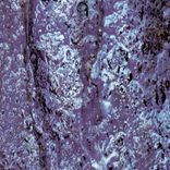 Artwork for "Silent Depth"