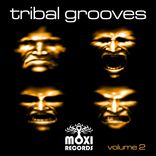 Artwork for "Tribal Grooves, Vol. 2"