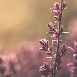 Artwork for "All of You"