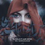 Artwork for "Del Barnakanam"