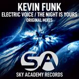 Artwork for "Electric Voice / The Night Is Yours"