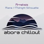 Artwork for "Alana / Midnight Silhouette"