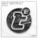 Portada para "Self Destruct"