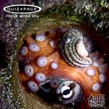 Artwork für "Freak When Sea"