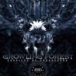 Artwork for "Va Growling Forest"