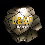 Artwork für "Deep House Music, Vol.16"