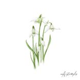 Artwork for "Revelation"