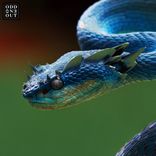 Artwork for "Is This Trance?"