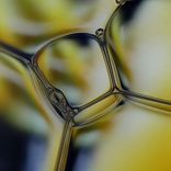 Artwork for "Nec Plus Ultra"