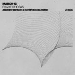Artwork voor "Flight Of Ideas (Andrew Benson & Katrin Souza Remix)"